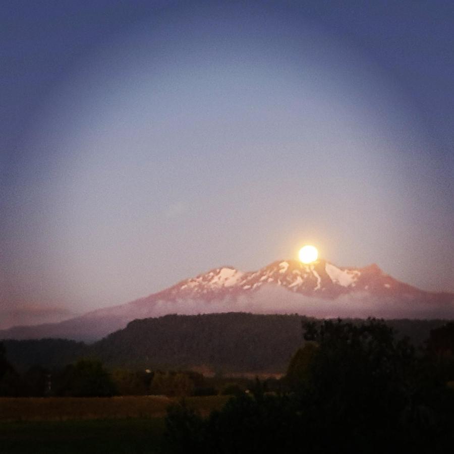 Beech Tree Lodge Ohakune Buitenkant foto